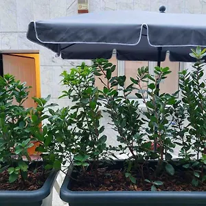 Con Terrazzo , Milano Italia